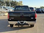 2002 Ford F-150 Regular Cab RWD Pickup for sale #2NA59285 - photo 5