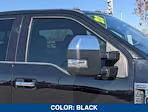 2020 Ford F-250 Crew Cab 4WD Pickup for sale #EE16251A - photo 10