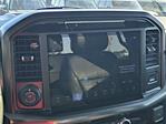 2025 Ford F-150 SuperCrew Cab 4WD Pickup for sale #FA19942A - photo 32