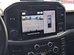 2025 Ford F-150 SuperCrew Cab RWD Pickup for sale #FA24229A - photo 30
