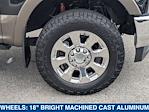 2017 Ford F-350 Crew Cab SRW 4WD Pickup for sale #HED98859 - photo 11