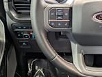 2023 Ford F-150 SuperCrew Cab 4WD Pickup for sale #PFA42114 - photo 22