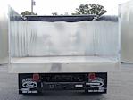 2025 Ford F-350 Crew Cab DRW RWD Cab Chassis for sale #SED10336 - photo 13