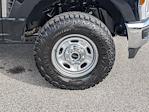 2025 Ford F-250 Crew Cab 4WD Pickup for sale #SED58840 - photo 11