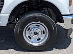 2025 Ford F-250 Regular Cab 4WD Pickup for sale #SED63941 - photo 11