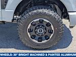 2025 Ford F-250 Crew Cab 4WD Pickup for sale #SED98101 - photo 11