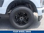 2025 Ford F-350 Regular Cab SRW 4WD Pickup for sale #SEE13030 - photo 11