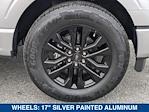 2025 Ford F-150 SuperCrew Cab RWD Pickup for sale #SFA02733 - photo 11