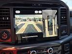 2025 Ford F-150 SuperCrew Cab 4WD Pickup for sale #SFA81580 - photo 32