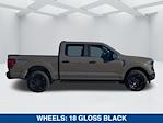 2025 Ford F-150 SuperCrew Cab 4WD Pickup for sale #SFC45839 - photo 4