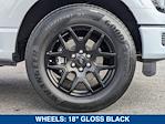 2025 Ford F-150 SuperCrew Cab RWD Pickup for sale #SKD05253 - photo 11