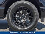 2025 Ford F-150 SuperCrew Cab RWD Pickup for sale #SKD29745 - photo 12