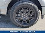 2025 Ford F-150 SuperCrew Cab RWD Pickup for sale #SKD30912 - photo 11