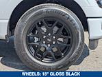2025 Ford F-150 SuperCrew Cab RWD Pickup for sale #SKD31665 - photo 11