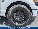 2025 Ford F-150 SuperCrew Cab RWD Pickup for sale #SKD35406 - photo 11
