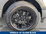 2025 Ford F-150 SuperCrew Cab RWD Pickup for sale #SKD42284 - photo 11