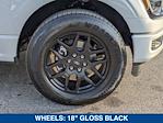 2025 Ford F-150 SuperCrew Cab RWD Pickup for sale #SKD46476 - photo 11