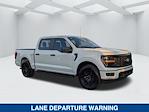 2025 Ford F-150 SuperCrew Cab RWD Pickup for sale #SKD65715 - photo 3