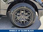 2025 Ford F-150 SuperCrew Cab RWD Pickup for sale #SKD66241 - photo 11