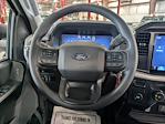 2025 Ford F-150 Regular Cab RWD Pickup for sale #SKE12799 - photo 22
