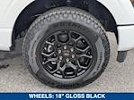 2025 Ford F-150 SuperCrew Cab 4WD Pickup for sale #SKE54357 - photo 11