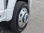 2026 Ford F-450 Crew Cab DRW 4WD Pickup for sale #TEC09489 - photo 12