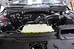 2024 Ford F-150 SuperCrew Cab 4WD Pickup for sale #FTR3907 - photo 30
