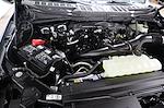 2025 Ford F-150 Super Cab 4WD Pickup for sale #FTS1359 - photo 20
