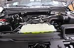 2025 Ford F-150 SuperCrew Cab 4WD Pickup for sale #FTS1391 - photo 23