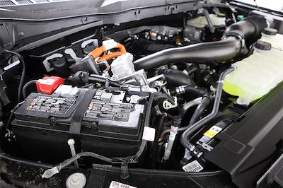 New 2025 Ford F-150 - photo 1