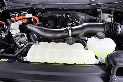 New 2025 Ford F-150 - photo 1