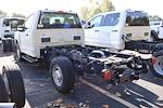 2025 Ford F-250 Regular Cab RWD Cab Chassis for sale #FTS1618 - photo 2