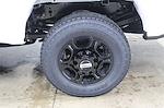 2025 Ford F-350 Regular Cab SRW 4WD Pickup for sale #FTS1889 - photo 29