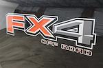 2025 Ford F-350 Regular Cab SRW 4WD Pickup for sale #FTS1900 - photo 7
