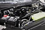 2025 Ford F-150 Super Cab 4WD Pickup for sale #FTS3043 - photo 25