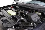 2025 Ford F-150 SuperCrew Cab 4WD Pickup for sale #FTS3274 - photo 32