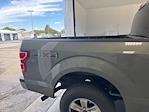 2020 Ford F-150 SuperCrew Cab 4WD Pickup for sale #NTS1314A - photo 10