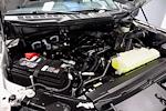 2024 Ford F-150 SuperCrew Cab 4WD Pickup for sale #PRT52416 - photo 16