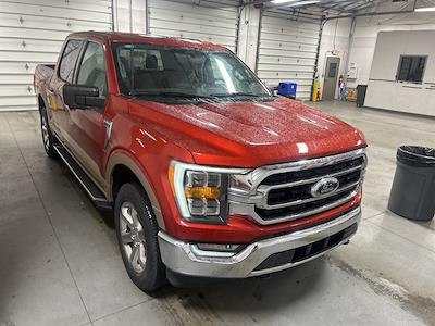 2023 Ford F-150 SuperCrew Cab 4WD Pickup for sale #PRT54408 - photo 1