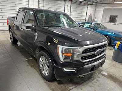 2023 Ford F-150 SuperCrew Cab 4WD Pickup for sale #PRT55003 - photo 1