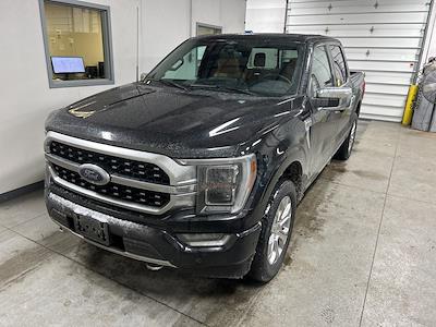 2023 Ford F-150 SuperCrew Cab 4WD Pickup for sale #PRT55003 - photo 2