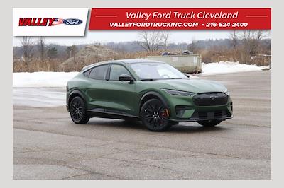 New 2025 Ford Mustang Mach-E - photo 1
