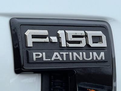 New 2025 Ford F-150 - photo 1