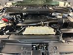 2021 Ford F-150 SuperCrew Cab 4x4 Pickup for sale #D31119 - photo 33