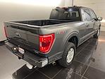 2023 Ford F-150 SuperCrew Cab 4x4 Pickup for sale #D31362 - photo 2