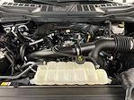 2023 Ford F-150 SuperCrew Cab 4x4 Pickup for sale #D31399 - photo 41