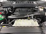 2021 Ford F-150 SuperCrew Cab 4x4 Pickup for sale #D31413 - photo 42
