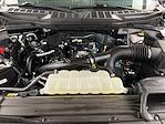 2023 Ford F-150 SuperCrew Cab 4WD Pickup for sale #D31525 - photo 41