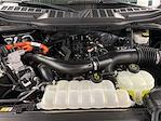 2024 Ford F-150 SuperCrew Cab 4WD Pickup for sale #D31554 - photo 41