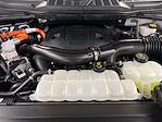 2023 Ford F-150 SuperCrew Cab 4WD Pickup for sale #D31578 - photo 37